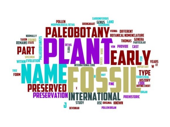 Bring Nature’s Ancient Beauty to Life with Palaeobotanist Typography Print