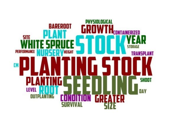 Nurseryman Typography Tshirt: A Hand-Drawn Wordcloud Resource for Thoughtful Designers
