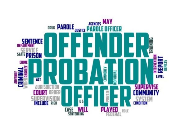 Probation Officer Typography Skinny Tumb
