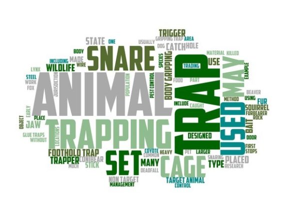 Rapping Typography Print: A Creative Revolution in Design